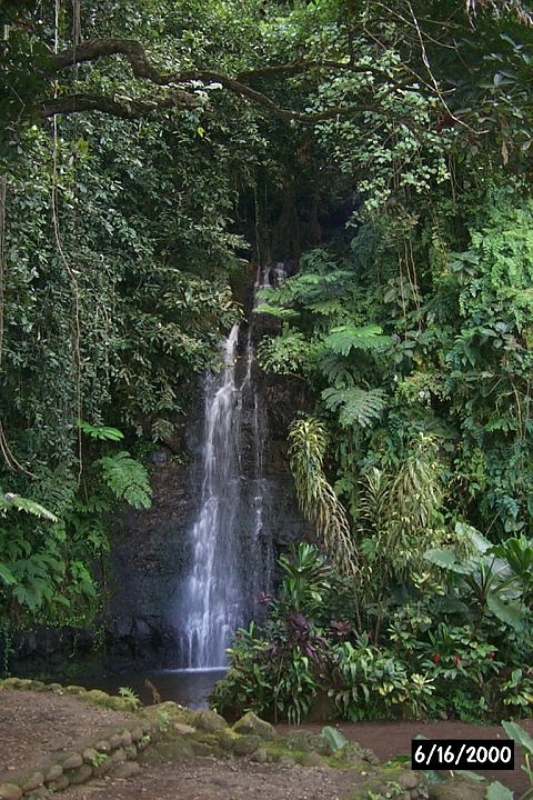 Waterfall in Public Gardens
