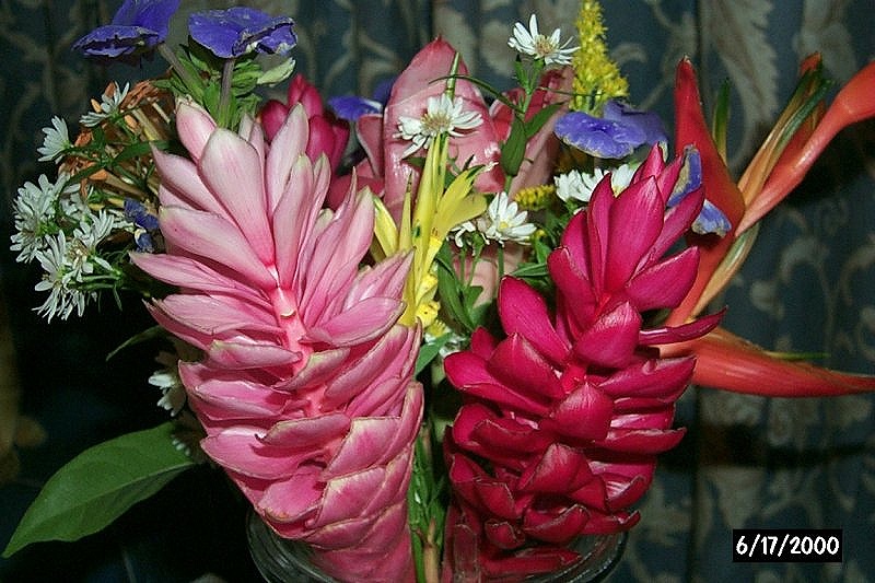 Tropical flowers for our cabin - only 500 CFP